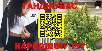 шишки Бийск