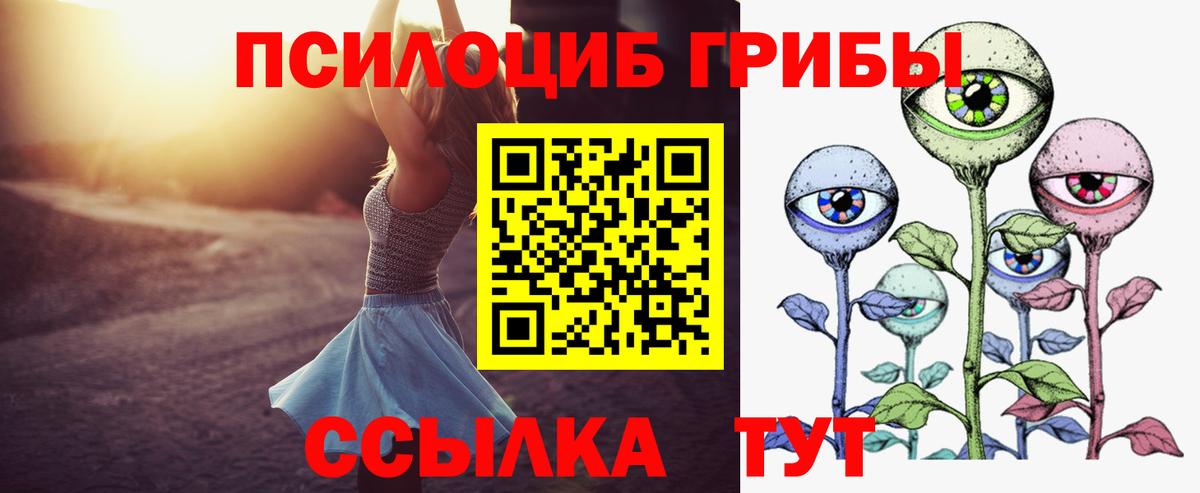 Беслан  Галлюциногенные грибы Psilocybe  Вход с VPN 